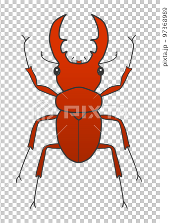 Stag beetle (brown) Stag beetle (brown) 97368989