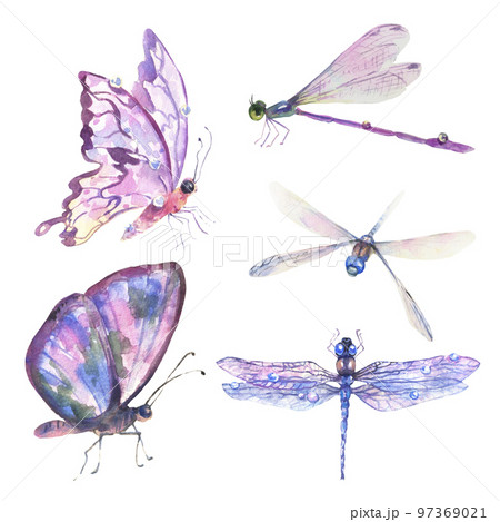 Watercolor set with Romantic Flying Dragonflies and Butterflies on white background. 97369021