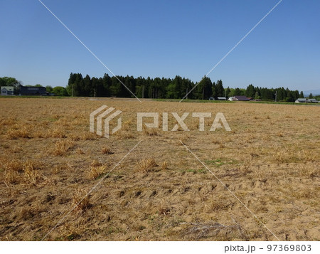 農薬散布後圃場 97369803