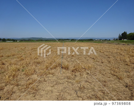 農薬散布後圃場 97369808