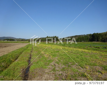 農薬散布前圃場 農薬散布前圃場 97370197