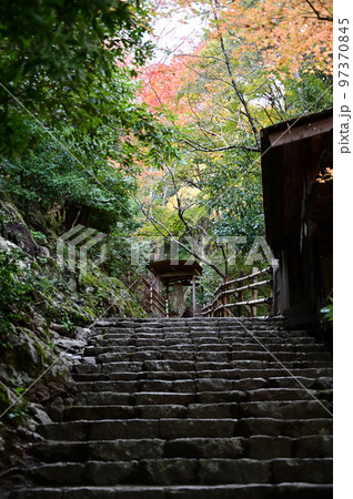 千光寺の石段 97370845