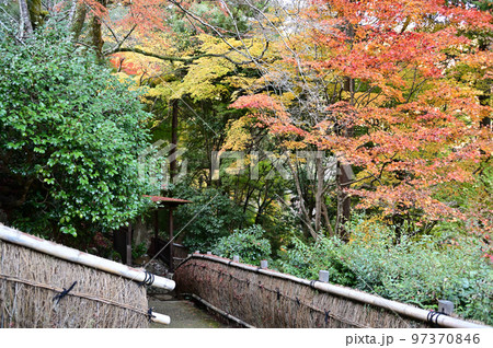 千光寺の紅葉 千光寺の紅葉 97370846