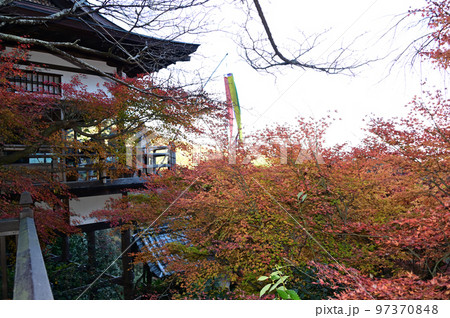 千光寺の紅葉 千光寺の紅葉 97370848