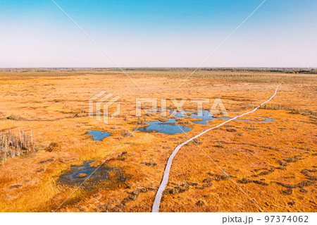 Miory District, Vitebsk Region, Belarus. The Yelnya Swamp. Aerial View Of Yelnya Nature Reserve Landscape. Narrow Wooden Hiking Trail Winding Through Marsh. Cognitive Boardwalk Trail Over A Wetland 97374062