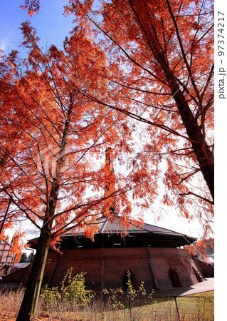日本の近代化を下支えした…ホフマン式の煉瓦窯と紅葉のメタセコイヤ並木 日本の近代化を下支えした…ホフマン式の煉瓦窯と紅葉のメタセコイヤ並木 97374217