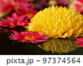 花　flower　リフレクション 97374564