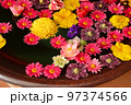 花　flower　リフレクション 97374566