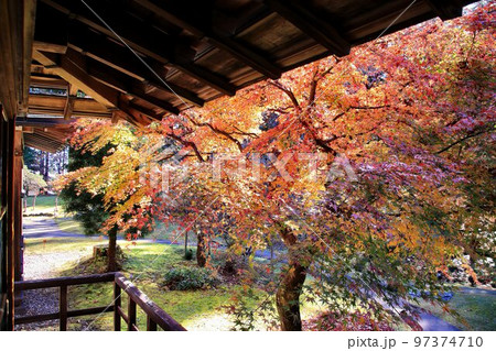 紅葉で紅く染まる日本庭園 紅葉で紅く染まる日本庭園 97374710