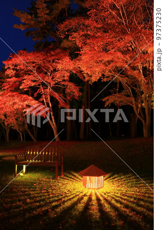 岩手県遠野市 秋の遠野八幡宮ライトアップ 岩手県遠野市 秋の遠野八幡宮ライトアップ 97375230
