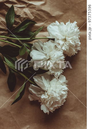 White peonies pattern on craft paper background with copy space, flat lay 97375396