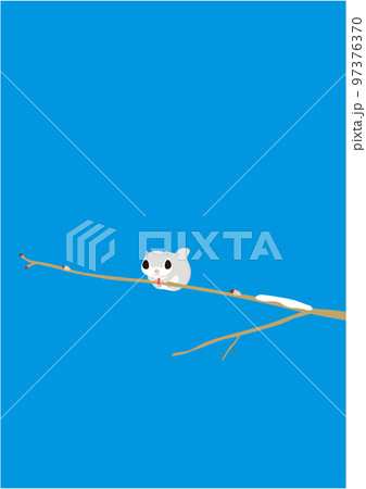 エゾモモンガ02青空 97376370