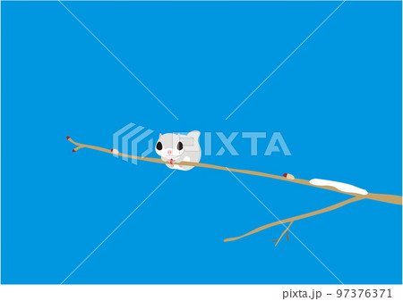 エゾモモンガ01青空 97376371