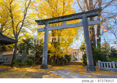 東京都葛飾区 秋の葛西神社 東京都葛飾区 秋の葛西神社 97376915