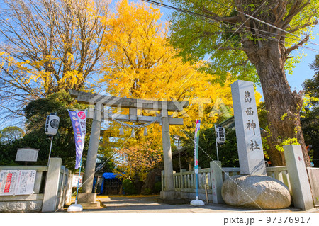 東京都葛飾区 秋の葛西神社 東京都葛飾区 秋の葛西神社 97376917