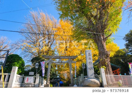 東京都葛飾区 秋の葛西神社 東京都葛飾区 秋の葛西神社 97376918