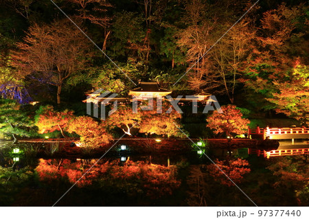 岩手県奥州市　えさし藤原の郷　紅葉ライトアップ 97377440