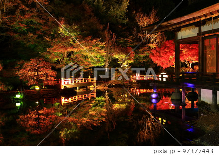 岩手県奥州市 えさし藤原の郷 紅葉ライトアップ 岩手県奥州市 えさし藤原の郷 紅葉ライトアップ 97377443
