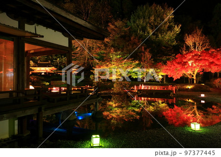 岩手県奥州市 えさし藤原の郷 紅葉ライトアップ 岩手県奥州市 えさし藤原の郷 紅葉ライトアップ 97377445