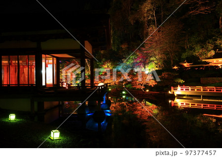 岩手県奥州市　えさし藤原の郷　紅葉ライトアップ 97377457