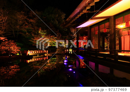 岩手県奥州市　えさし藤原の郷　紅葉ライトアップ 97377469