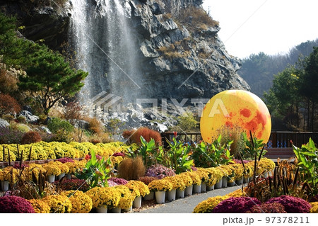 自然 景色 花びら 97378211