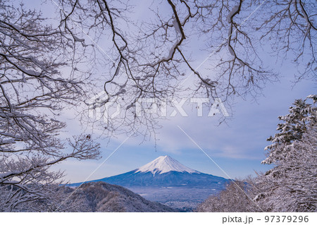 (山梨県)日本の冬景色・雪が降った御坂峠から望む富士山 (山梨県)日本の冬景色・雪が降った御坂峠から望む富士山 97379296
