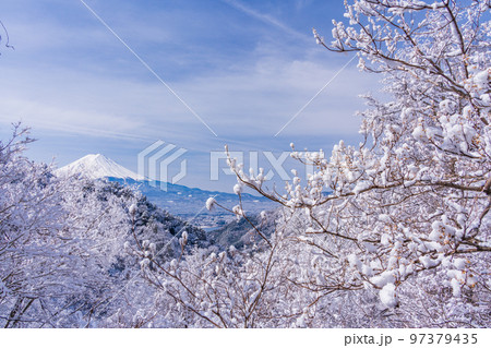（山梨県）日本の冬景色・雪が降った御坂峠から望む富士山 97379435