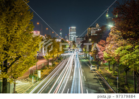 《愛知県》名古屋都市風景　黄葉の中区若宮大通の夜景 97379884