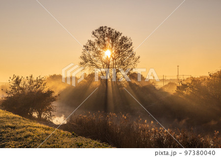 「埼玉県」見沼田んぼの美しい朝霧の風景 97380040