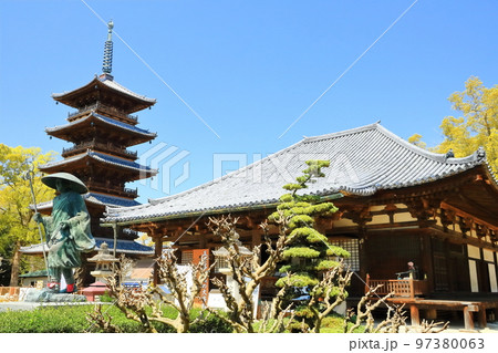 【香川県】四国霊場「第70番札所」春の本山寺(本堂と五重塔) 【香川県】四国霊場「第70番札所」春の本山寺(本堂と五重塔) 97380063