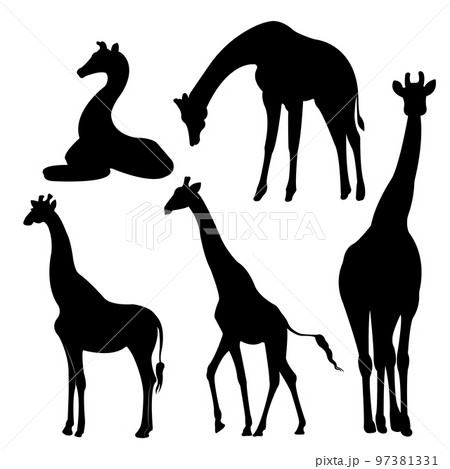 A set of giraffe vector silhouettes isolated on a white background.	 97381331
