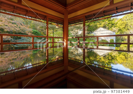 旧竹林院の紅葉（滋賀県大津市坂本） 97381449
