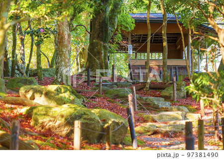 旧竹林院　日本庭園　四阿　紅葉の季節（滋賀県大津市坂本） 97381490