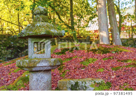 旧竹林院 日本庭園 紅葉の季節(滋賀県大津市坂本) 旧竹林院 日本庭園 紅葉の季節(滋賀県大津市坂本) 97381495