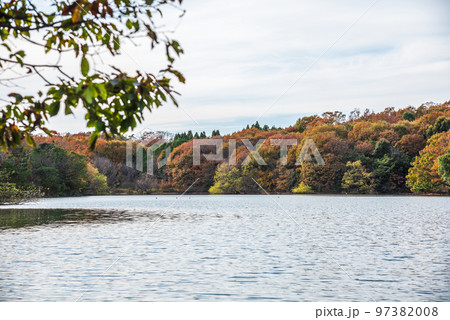 《愛知県》尾張旭市　秋の愛知県森林公園 97382008