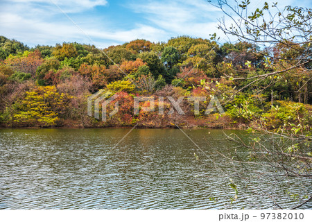《愛知県》尾張旭市 秋の愛知県森林公園 《愛知県》尾張旭市 秋の愛知県森林公園 97382010