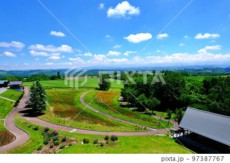 夏の北海道美瑛町「北西の丘展望公園」 夏の北海道美瑛町「北西の丘展望公園」 97387767