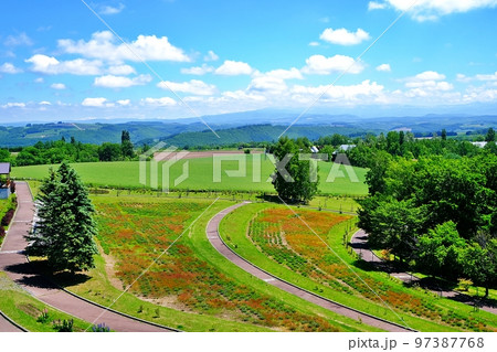 夏の北海道美瑛町「北西の丘展望公園」 夏の北海道美瑛町「北西の丘展望公園」 97387768