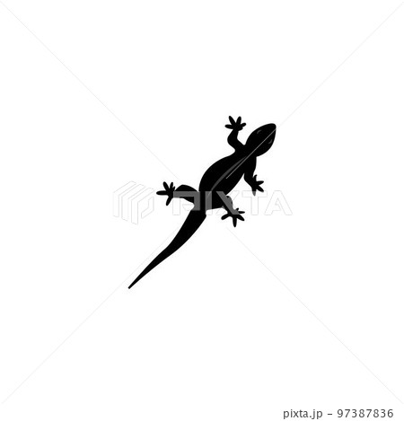 house lizard icon 97387836