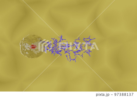 抗体を産生する形質細胞のイメージ 97388137