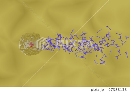 抗体を産生する形質細胞のイメージ 97388138