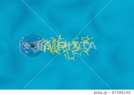 抗体を産生する形質細胞のイメージ 97388140