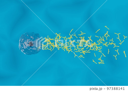 抗体を産生する形質細胞のイメージ 97388141