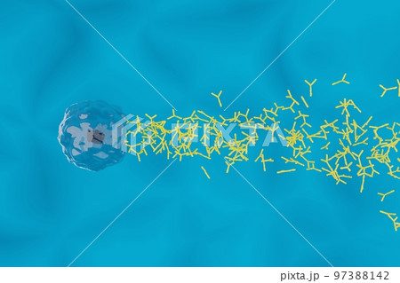 抗体を産生する形質細胞のイメージ 97388142