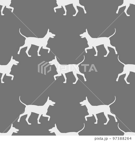 Seamless pattern. Walking mexican hairless dog. 97388264
