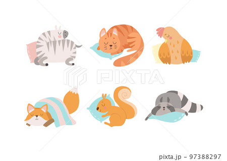 Cute Sleeping Animals Lying on Pillow Having Bedtime Rest Vector Set 97388297