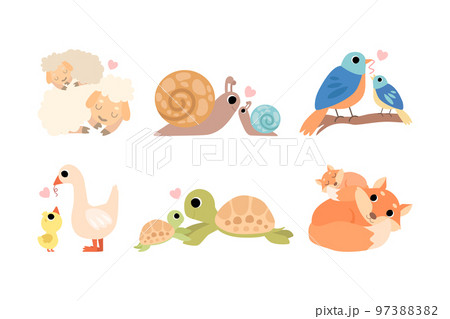 Little Baby Animal and Their Mom Cuddling and Loving Each Other Vector Set 97388382