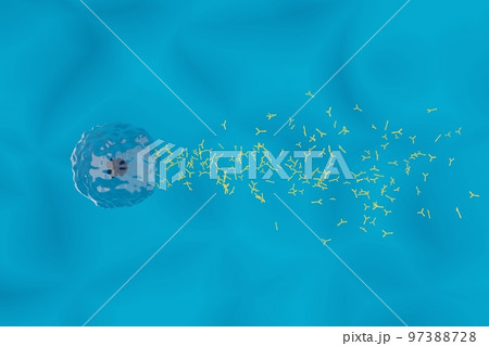 抗体を産生する形質細胞のイメージ 97388728