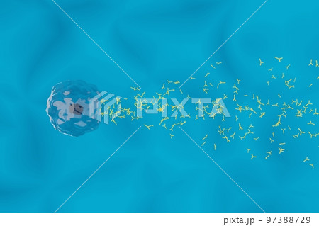 抗体を産生する形質細胞のイメージ 97388729